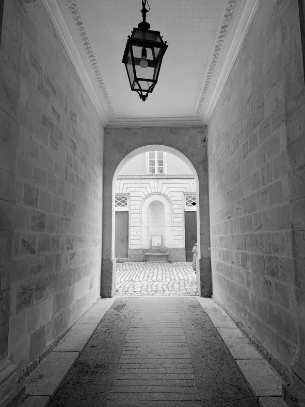 Cours St Pierre (1) Hall Immeuble