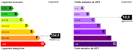 SCREEN DPE