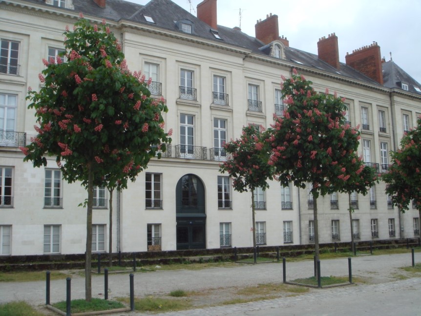 1_Palladio arbres fleuris Terrasse