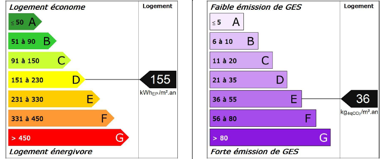 SCREEN DPE