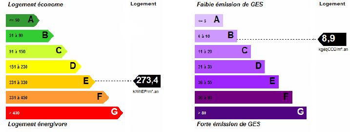 SCREEN DPE