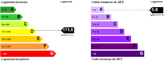 SCREEN DPE