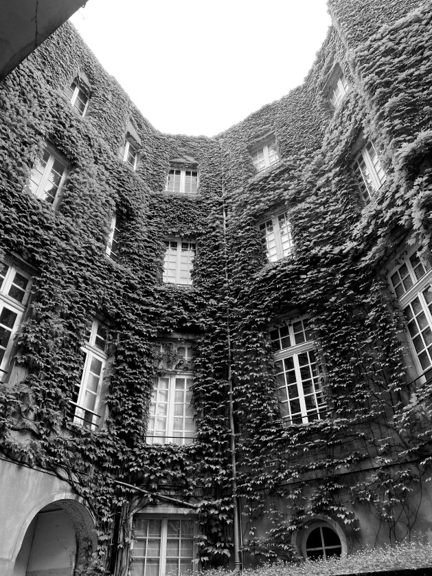 IMG-7220 sejour