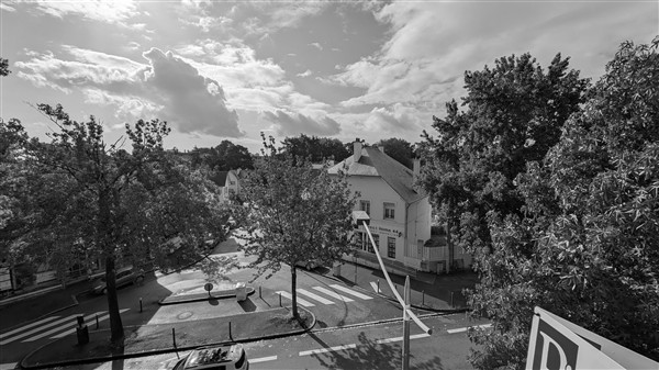 PXL_20250911_085641456