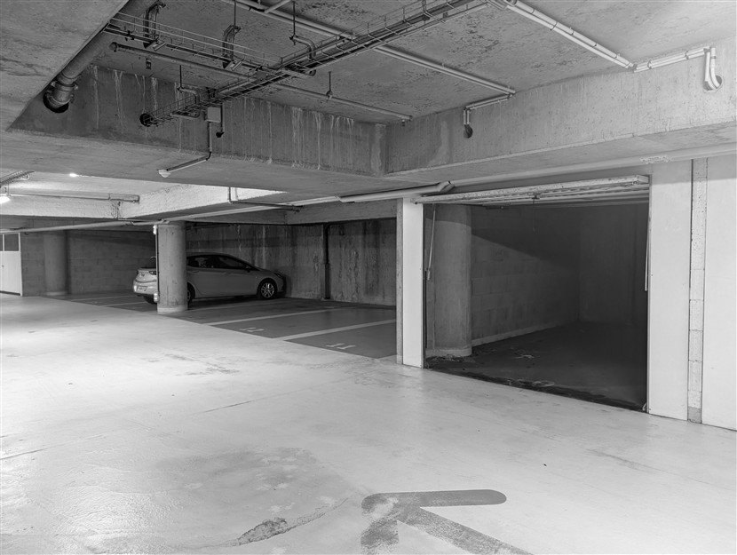 PXL_20250530_095219161