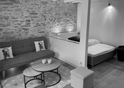 Château –  Studio de charme 27 m² avec locataire en place – 136.500 € fai